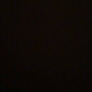 Meet your Posher, Cheyenne